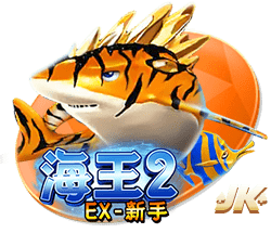 TA：23岁布莱顿后卫埃兰